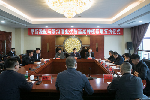 20210423湯溝酒業(yè)與阜新淞航隆重舉辦“優(yōu)質(zhì)高粱種植基地簽約暨揭牌儀式”-(3)