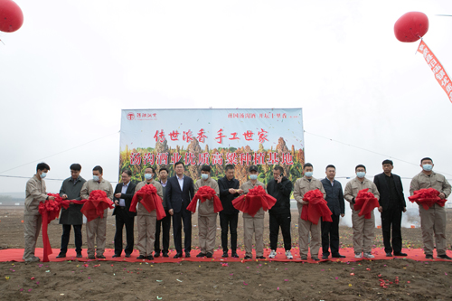 20210423優(yōu)質(zhì)高粱種植基地”揭牌并剪彩