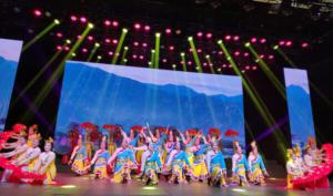 “湯溝國藏之夜”2020灌南縣春節(jié)聯(lián)歡晚會(huì)落幕